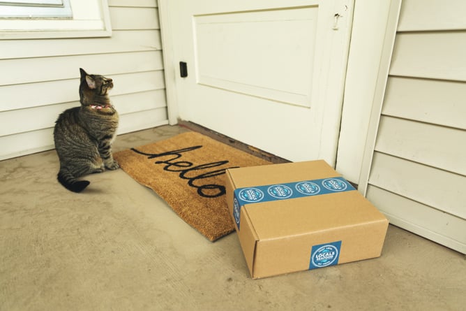 Cat looking at a door with a parcel